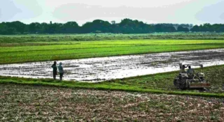 ഭൂപരിഷ്കരണ നിയമത്തിൽ ഭേദഗതി ആവശ്യപ്പെട്ട് വ്യവസായ വകുപ്പ്