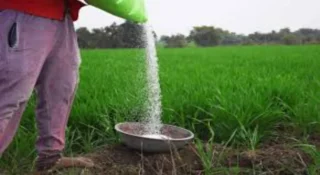 നേപ്പാളിലെ വളം ക്ഷാമത്തിൽ തുണയായി ഇന്ത്യ