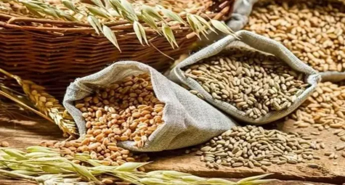 ഭക്ഷ്യധാന്യ ഉൽപ്പാദനത്തിൽ റെക്കോർഡ് നേട്ടം കൈവരിച്ച് ഇന്ത്യ